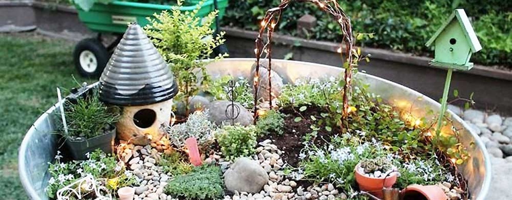 Miniature Garden